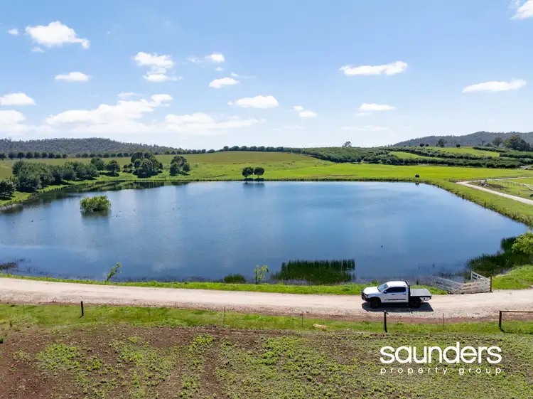 110 Trickett Road, Needles TAS 7304