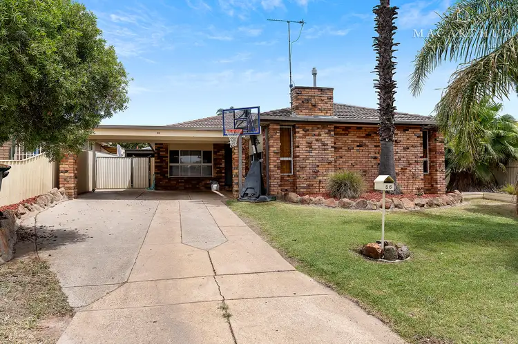 56 Crawford Street, Ashmont NSW 2650