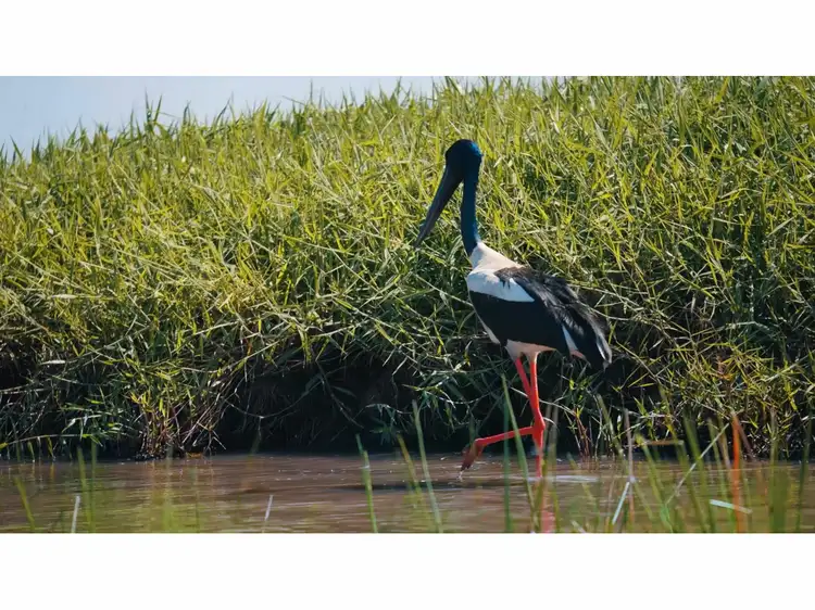 Seventh view of Homely land listing, Station Point Beach, North Curtis Island, Curtis Island QLD 4680