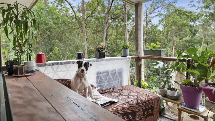 Third view of Homely house listing, 8 Reservoir Road, Landsborough QLD 4550