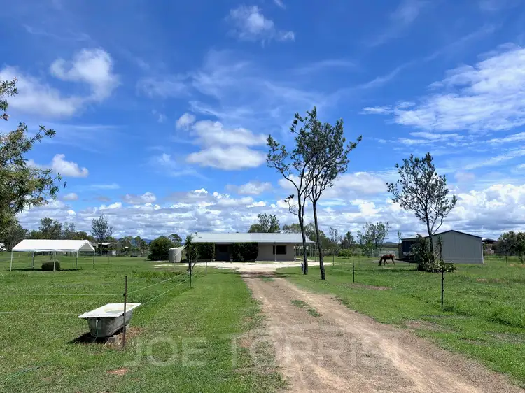 Main view of Homely rural property listing, 104 Macadamia Street, Mareeba QLD 4880