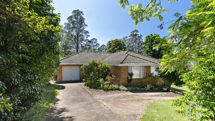 Main view of Homely house listing, 8 Scott Street, Springwood NSW 2777
