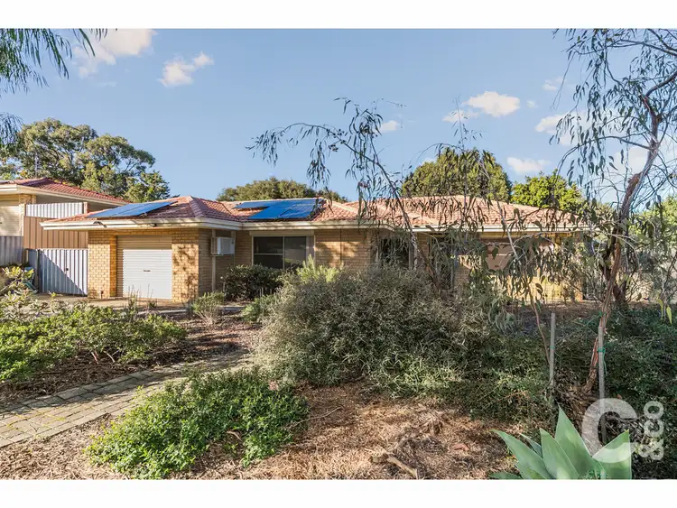 Fifth view of Homely house listing, 12 Patrick Vista, Parmelia WA 6167