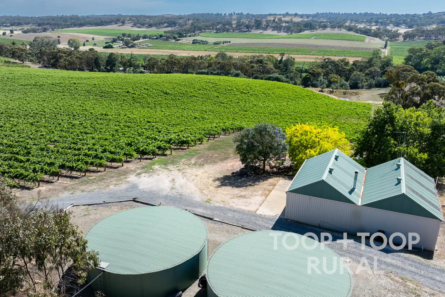 Main view of Homely rural property listing, 61 McRae Wood Road, Clare SA 5453