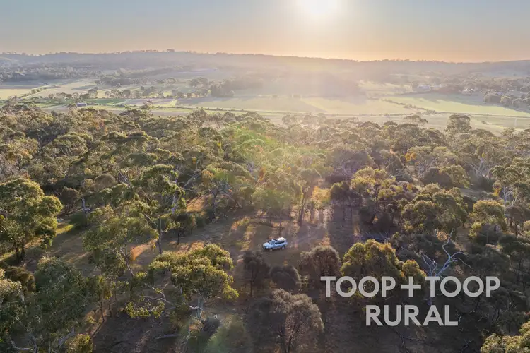 Second view of Homely rural property listing, 61 McRae Wood Road, Clare SA 5453