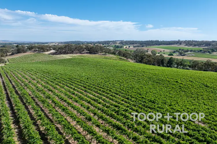 Third view of Homely rural property listing, 61 McRae Wood Road, Clare SA 5453