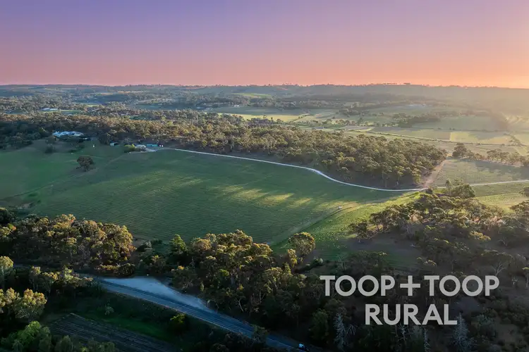 Fifth view of Homely rural property listing, 61 McRae Wood Road, Clare SA 5453