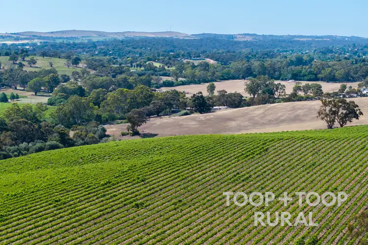 Sixth view of Homely rural property listing, 61 McRae Wood Road, Clare SA 5453