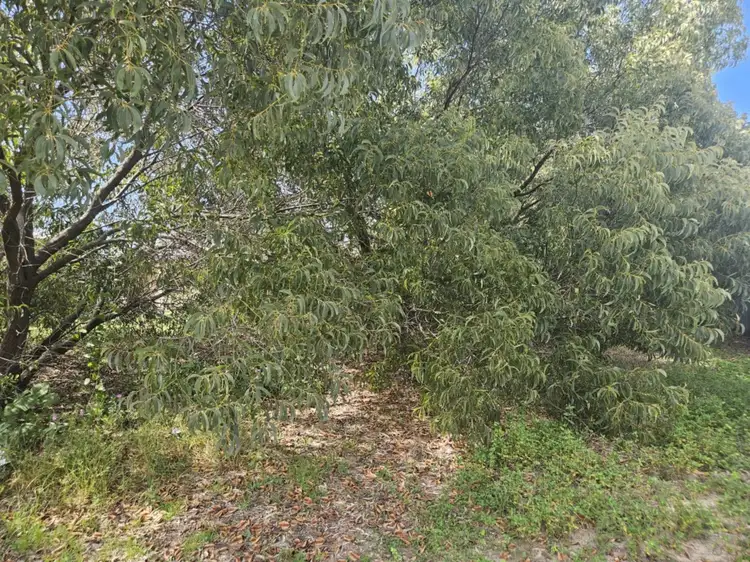 Third view of Homely land listing, 3 Mistletoe Street, Forrest Beach QLD 4850