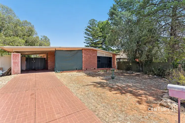 18 Haldane Street