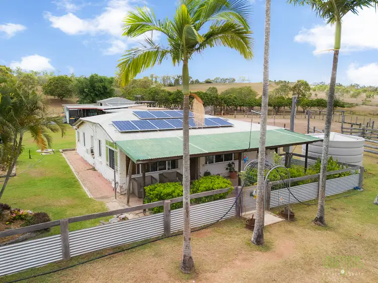 Second view of Homely house listing, 47 Mount Larcom Bracewell Road, Mount Larcom QLD 4695