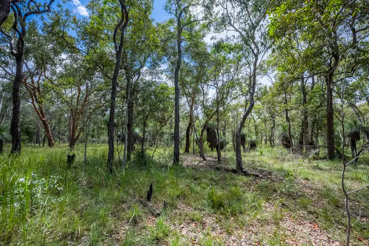Fifth view of Homely rural property listing, 8 Greberts Road, Whiteman Creek NSW 2460