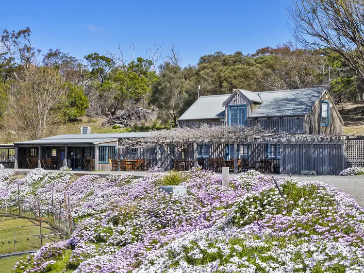 Main view of Homely rural property listing, 12 Addison Street, Swansea TAS 7190