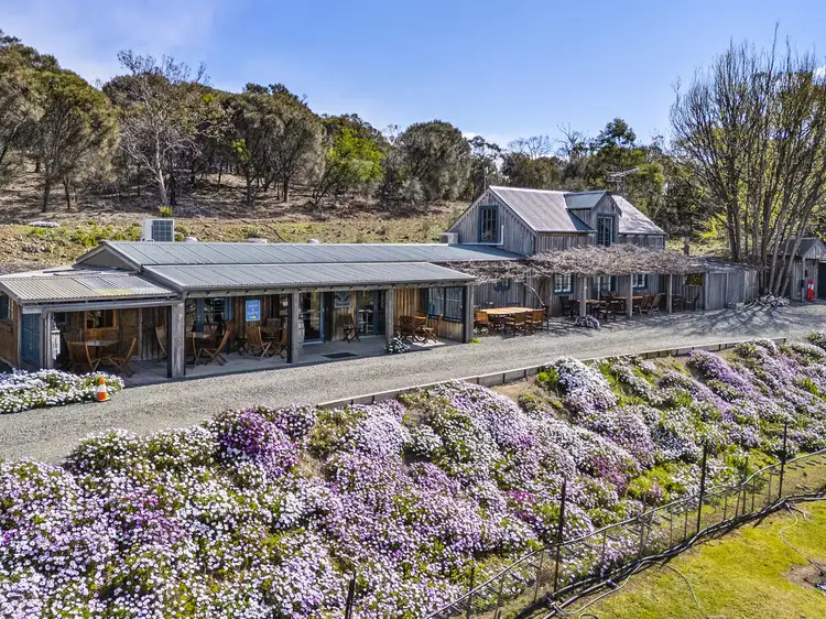 Second view of Homely rural property listing, 12 Addison Street, Swansea TAS 7190