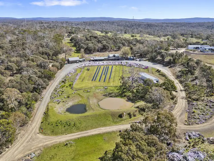 Fourth view of Homely rural property listing, 12 Addison Street, Swansea TAS 7190