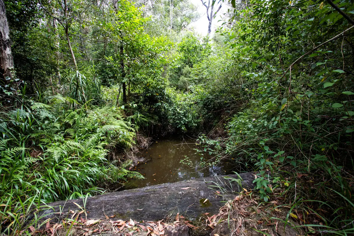 Main view of Homely rural property listing, 506 Tullymorgan-Jacky Bulbin Road, Mororo NSW 2469