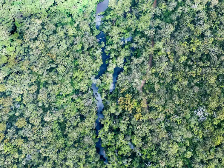 Third view of Homely rural property listing, 506 Tullymorgan-Jacky Bulbin Road, Mororo NSW 2469