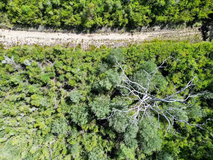 Fifth view of Homely rural property listing, 506 Tullymorgan-Jacky Bulbin Road, Mororo NSW 2469