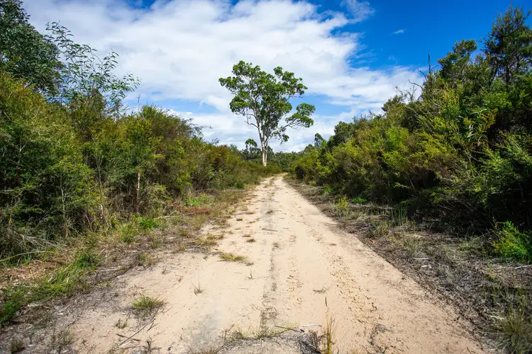 Seventh view of Homely rural property listing, 506 Tullymorgan-Jacky Bulbin Road, Mororo NSW 2469