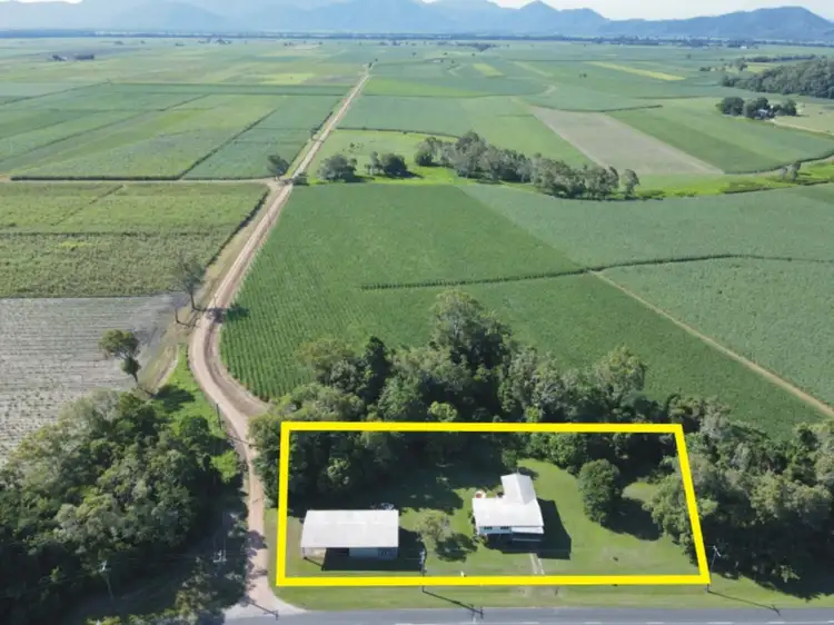 Second view of Homely house listing, 391 Cooks Lane, Cordelia QLD 4850