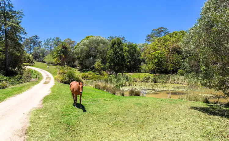 Fourth view of Homely house listing, 390 Schreibers Road, Cooran QLD 4569