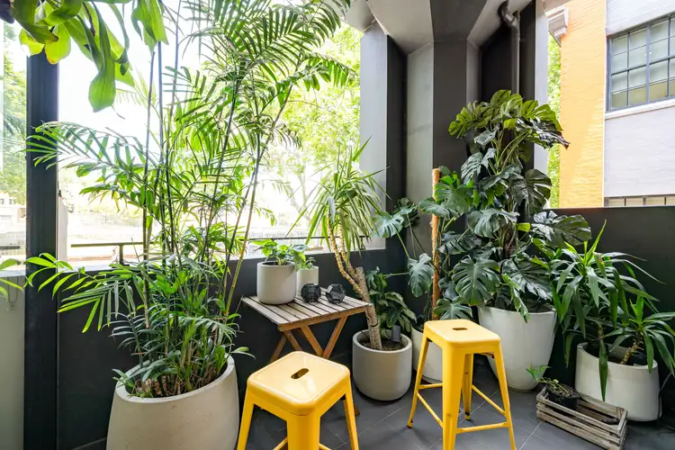 Third view of Homely apartment listing, 3/277-285 Crown Street, Surry Hills NSW 2010
