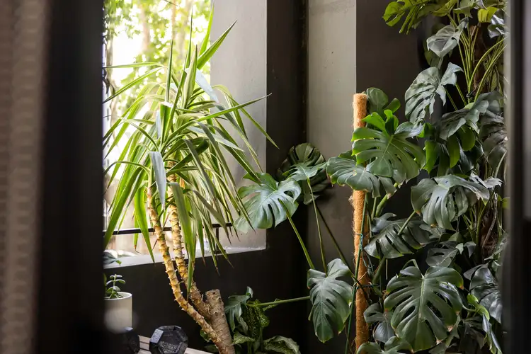 Fourth view of Homely apartment listing, 3/277-285 Crown Street, Surry Hills NSW 2010