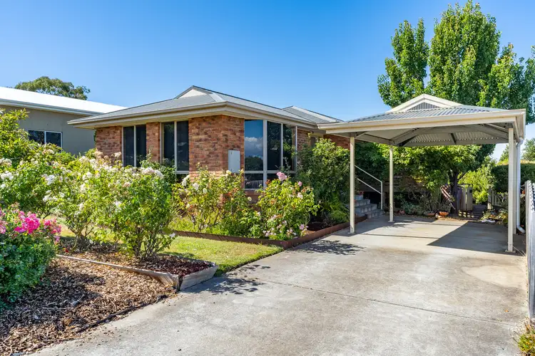 7 Cavenor Drive