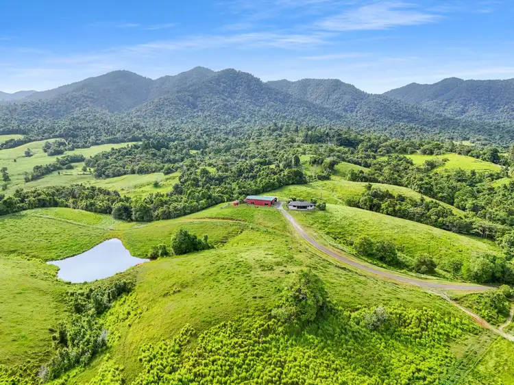 Main view of Homely house listing, 527 Donkin Road, Utchee Creek QLD 4871