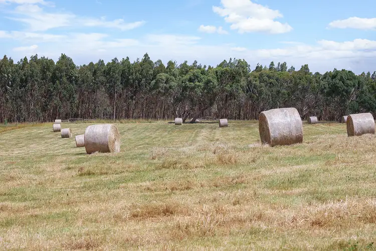 Sixth view of Homely rural property listing, Guys Road, Cooriemungle VIC 3268