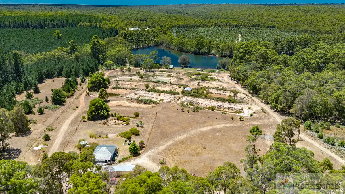 Main view of Homely rural property listing, 60 Langley Road (Upper Warren), Manjimup WA 6258