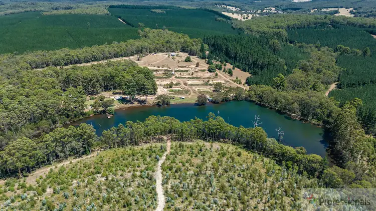 Second view of Homely rural property listing, 60 Langley Road (Upper Warren), Manjimup WA 6258