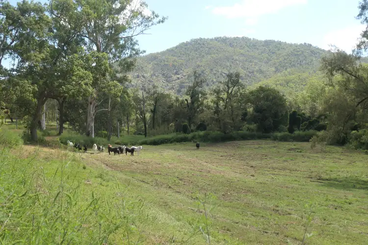 LOT 4, 2501 Rocky River Road, Rocky River NSW 2372
