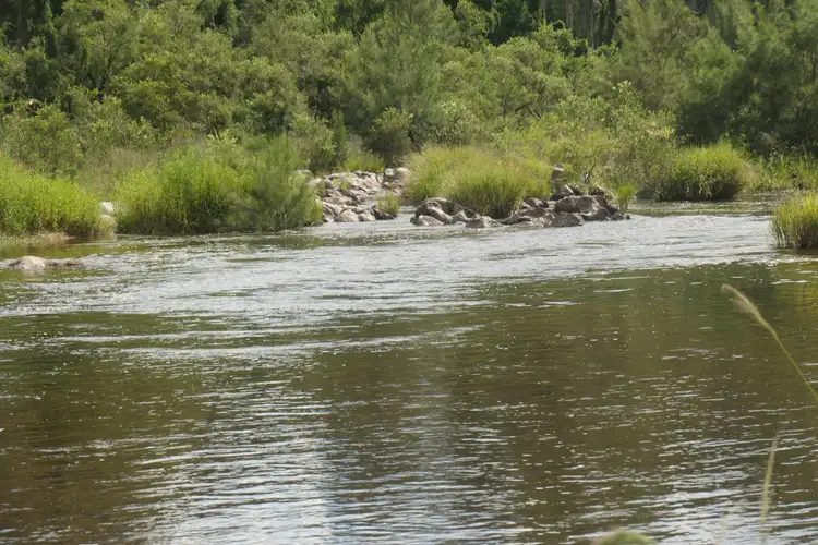 Fourth view of Homely rural property listing, LOT 4, 2501 Rocky River Road, Rocky River NSW 2372