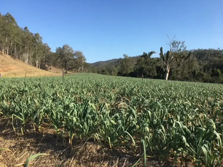 Seventh view of Homely rural property listing, LOT 4, 2501 Rocky River Road, Rocky River NSW 2372