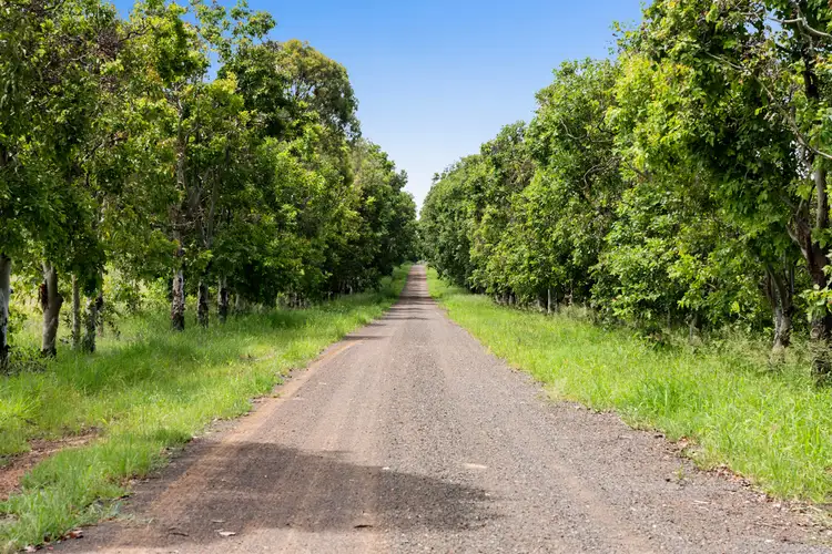 Fourth view of Homely rural property listing, 51 Patrick Road, Clarendon QLD 4311