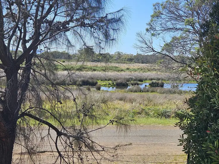 Main view of Homely land listing, 343 Swan River Road, Dolphin Sands TAS 7190