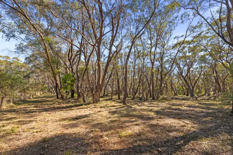 Fifth view of Homely land listing, 26 Forest Park Road, Blackheath NSW 2785