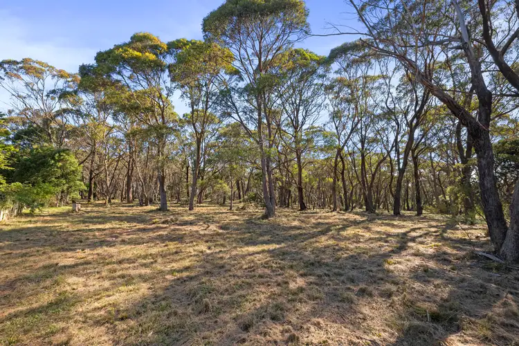 Seventh view of Homely land listing, 26 Forest Park Road, Blackheath NSW 2785