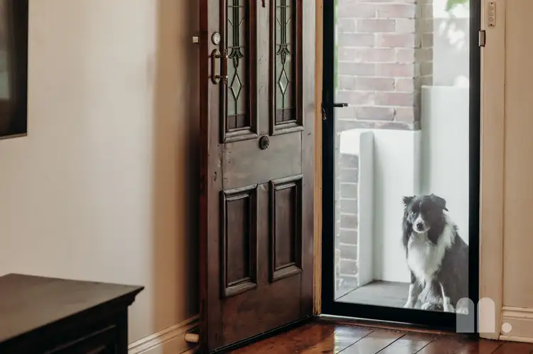 Second view of Homely house listing, 5 Sheddon Street, Islington NSW 2296