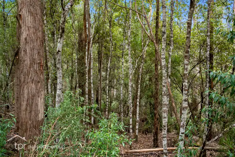 Fourth view of Homely land listing, Lot 2 Kermandie River Road, Geeveston TAS 7116