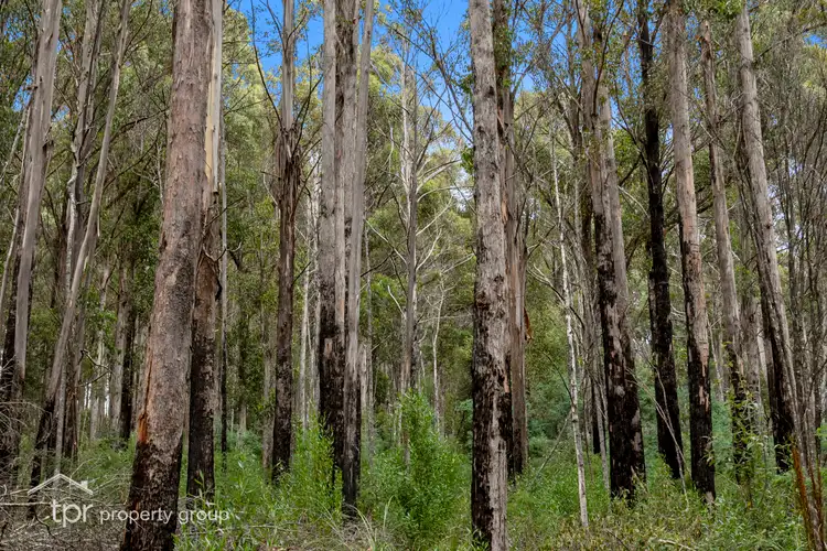Fifth view of Homely land listing, Lot 2 Kermandie River Road, Geeveston TAS 7116