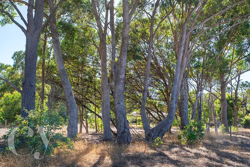 Main view of Homely land listing, 4 Oracle Vista, Cowaramup WA 6284