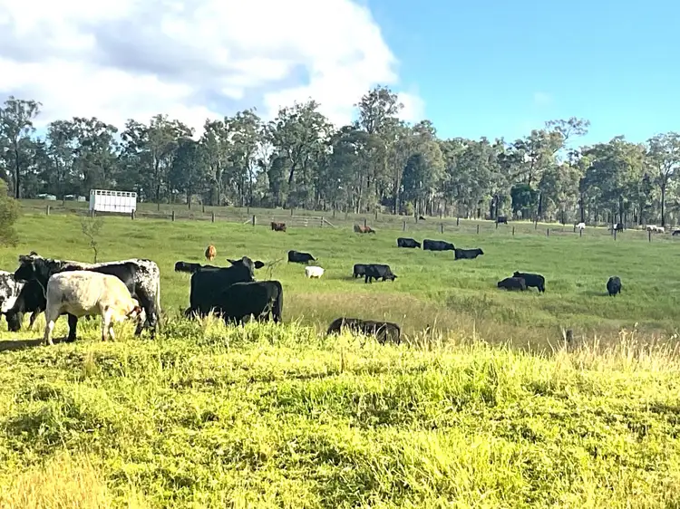 Fifth view of Homely rural property listing, Gibsons Road, Yarraman QLD 4614