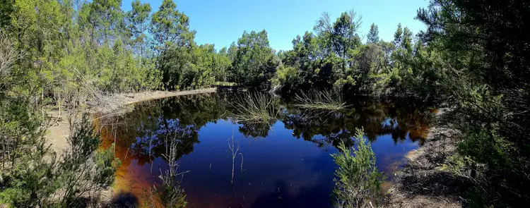 Third view of Homely land listing, 20 Woodland Court, Tambo Upper VIC 3885