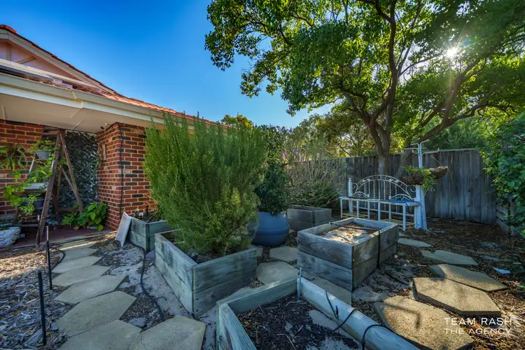 Third view of Homely house listing, 10 Campolino Gardens, Stratton WA 6056