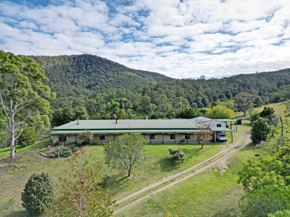 Main view of Homely rural property listing, 1536 Mount View Road, Millfield NSW 2325