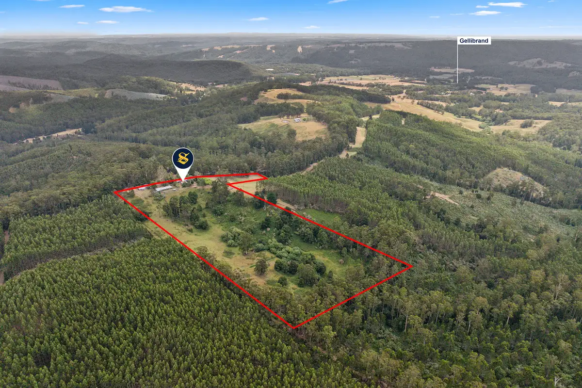 Main view of Homely rural property listing, 445 Old Beech Forest Road, Gellibrand VIC 3239