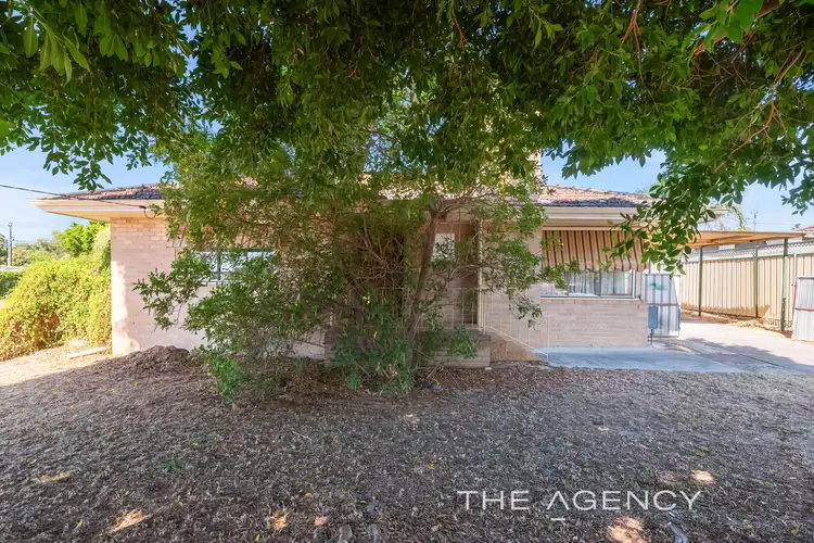 Fifth view of Homely house listing, 40 Clianthus Way, Koongamia WA 6056