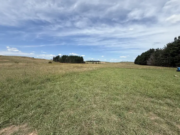 3120 Oallen Ford Road